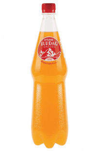 Uludağ Efsane Portakallı Gazoz 1 LT.