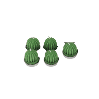 Cansu Home Kaktüs Mum 3'lü