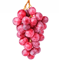 Üzüm Kg