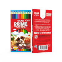 Silka Uzun Kuru Boya 12'li