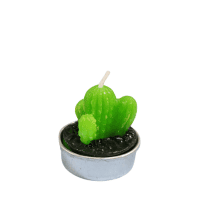 Espa Kaktüs Mum Adet